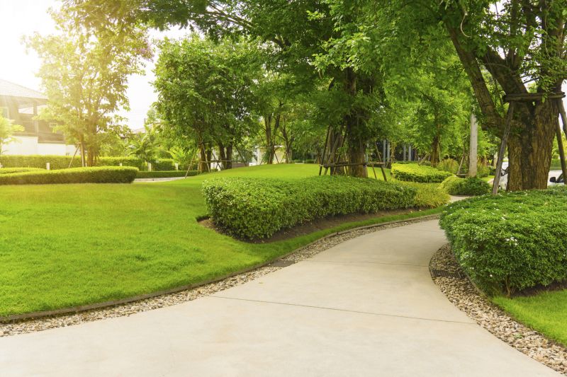 Concrete Path Installation in Fort Collins, CO